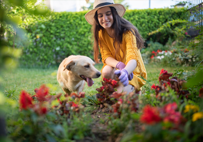 Lady gardening with dog