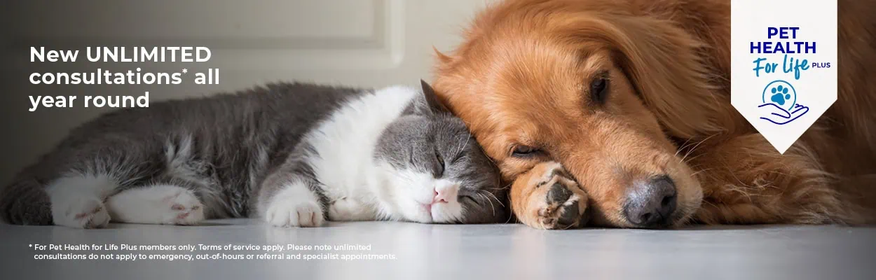 Pet Health for Life | Cat & Dog Health Plans | Alder Vets