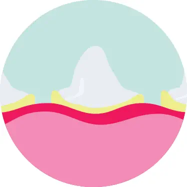 Tooth and Gum Icon