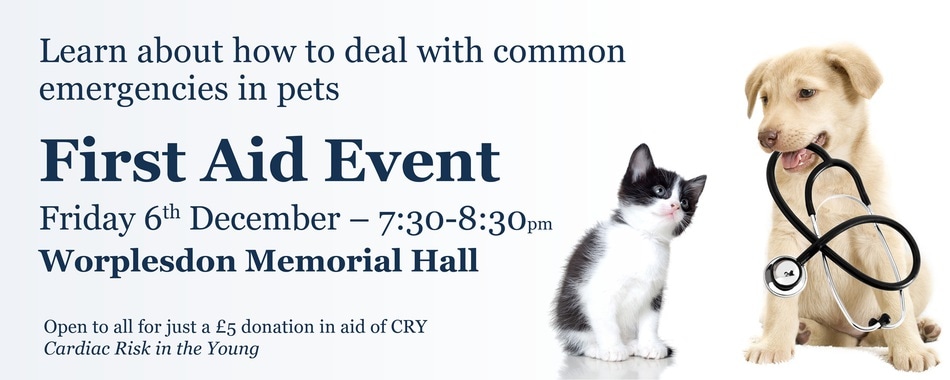Pet first aid event