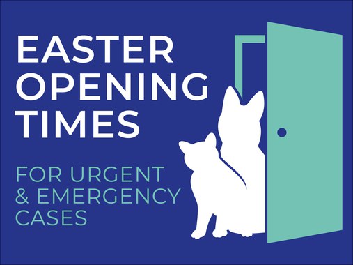 Alder Vets Easter Opening Times