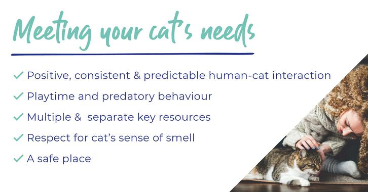 Caring for your cat - An owner’s guide
