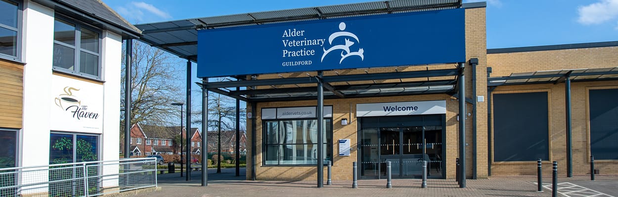 Contact Us Today | Alder Vets