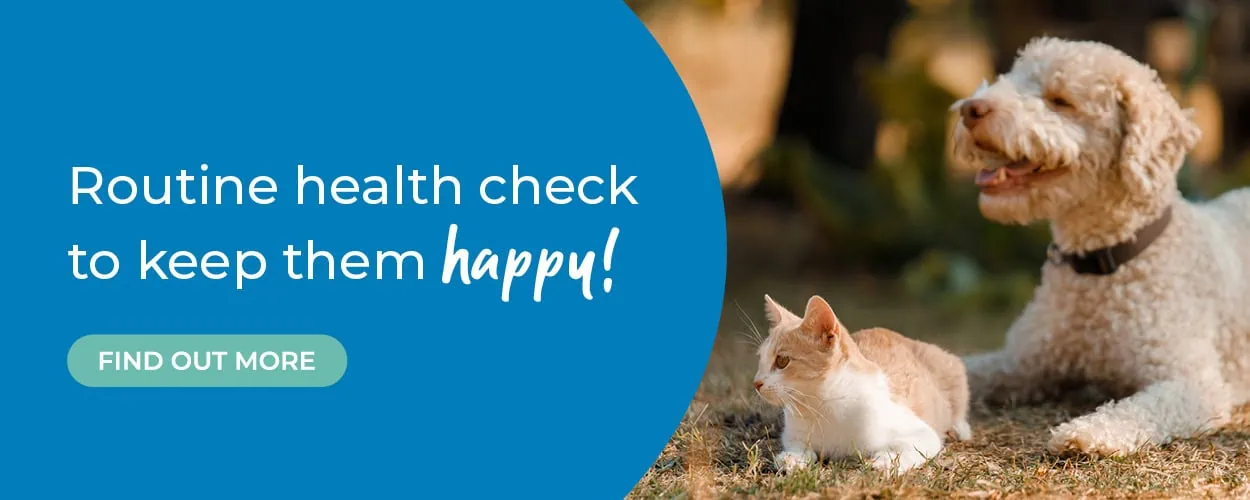 Alder Vets | Vets in Guildford, Surrey | Vets Near Me
