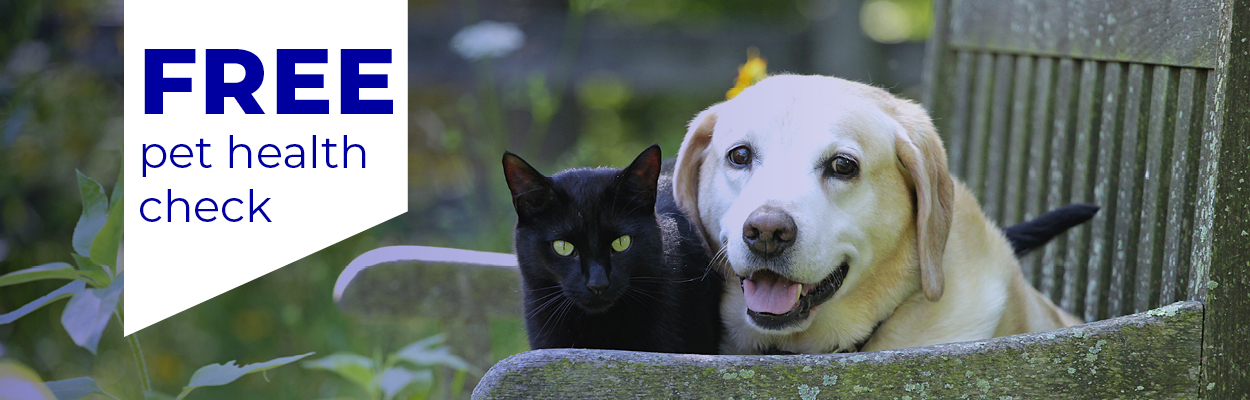 Promotions Standard Terms & Conditions