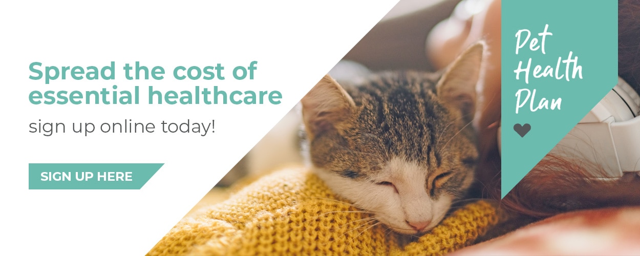 Alder Vets in Guildford, Surrey