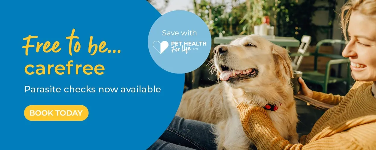 Alder Vets | Vets in Guildford, Surrey | Vets Near Me
