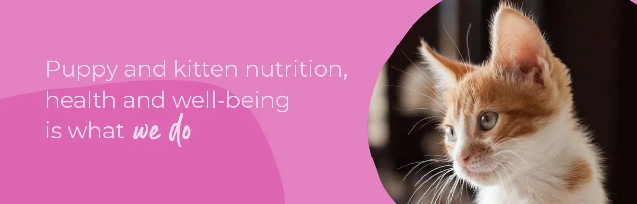 New Puppy or Kitten | Start of Life for Pets | Alder Vets