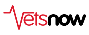 vetsnow logo